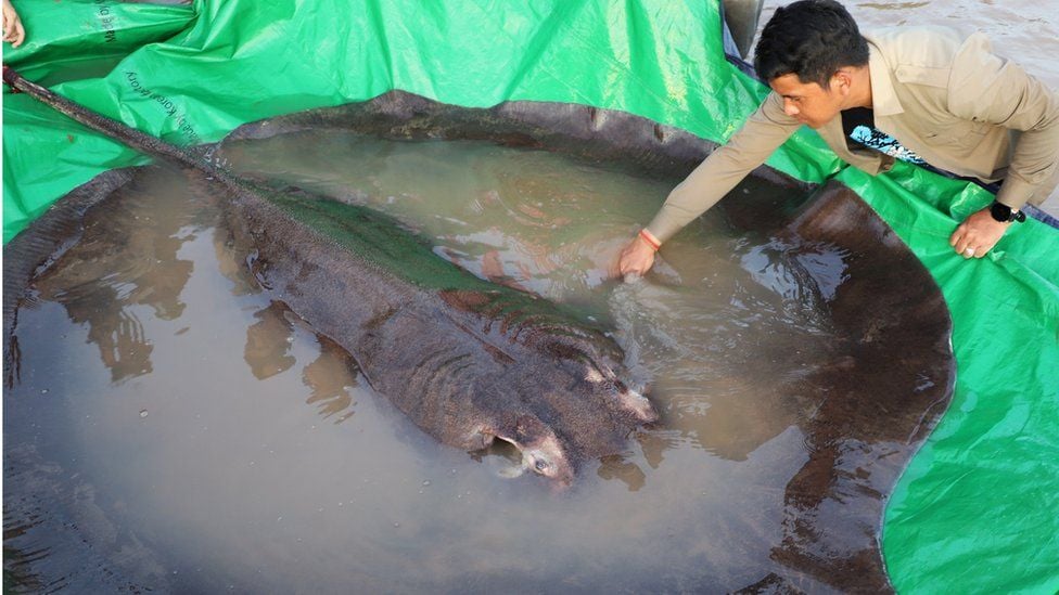 រូបភាពពី&nbsp;WONDERS OF THE MEKONG