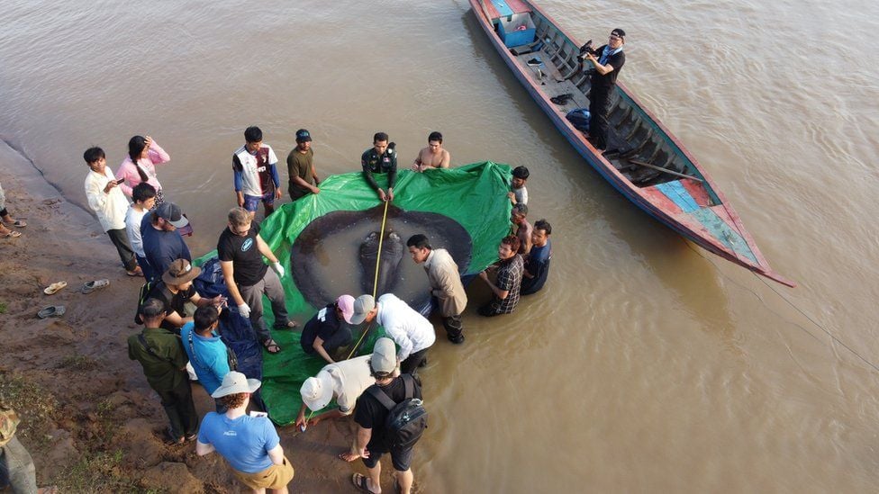 រូបភាពពី WONDERS OF THE MEKONG