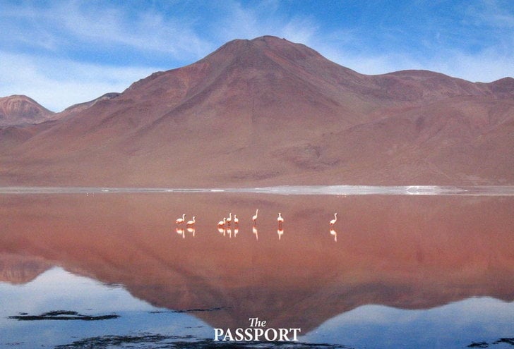 ទិដ្ឋភាពនៅ Laguna Colorada