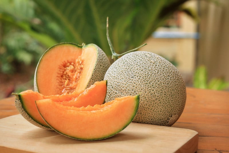 ផ្លែ Melon