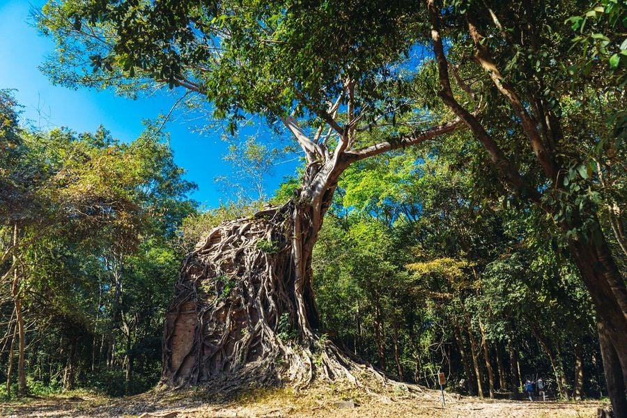 ទិដ្ឋភាពប្រាសាទសំបូរព្រៃគុក