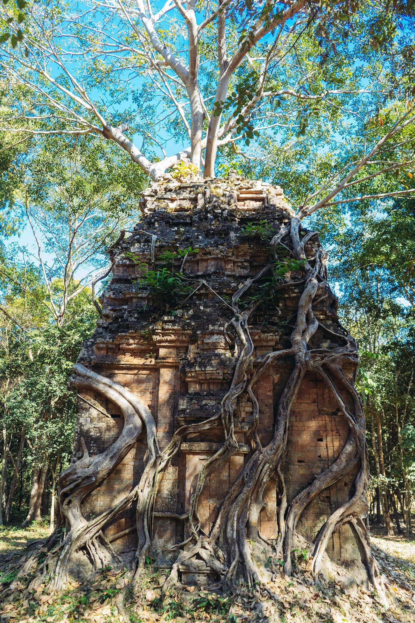 ទិដ្ឋភាពប្រាសាទសំបូរព្រៃគុក