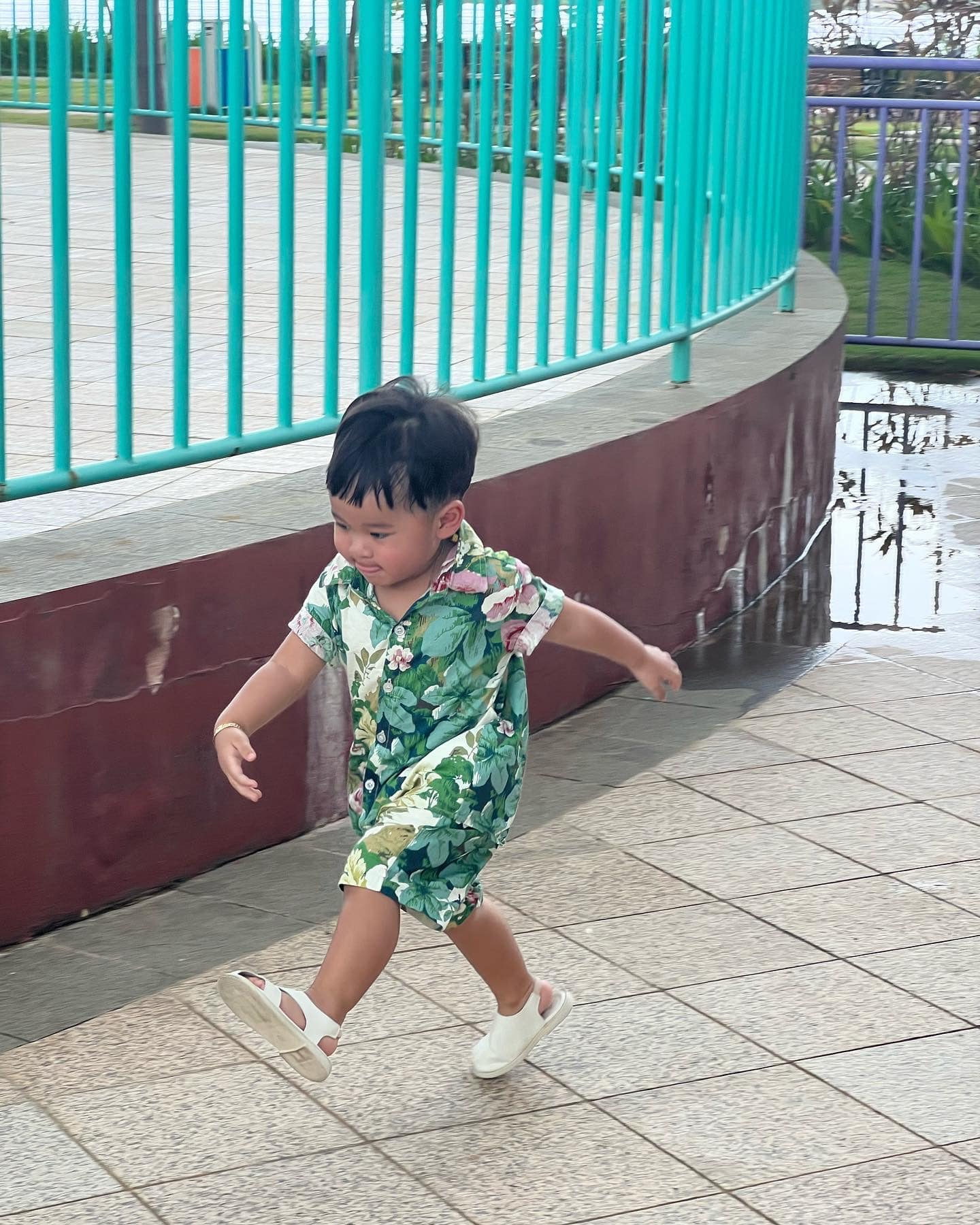 កូនប្រុស ពេជ្រ សូលីកា
