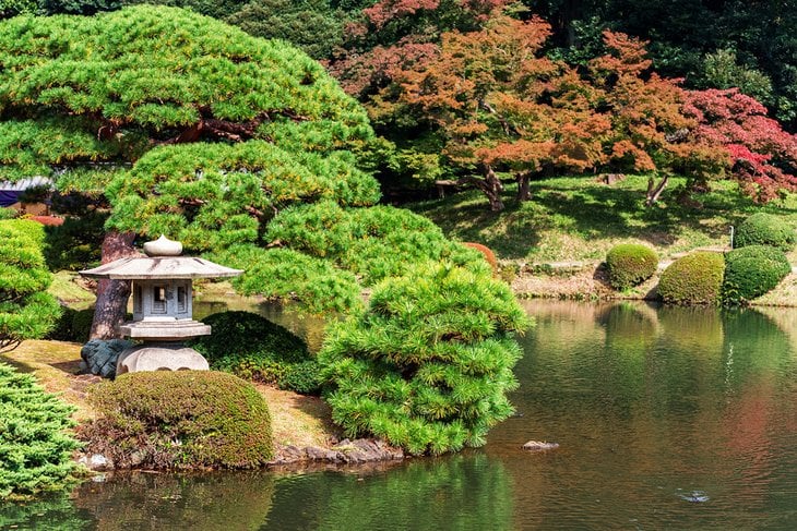 ឧទ្យាន Shinjuku Gyoen