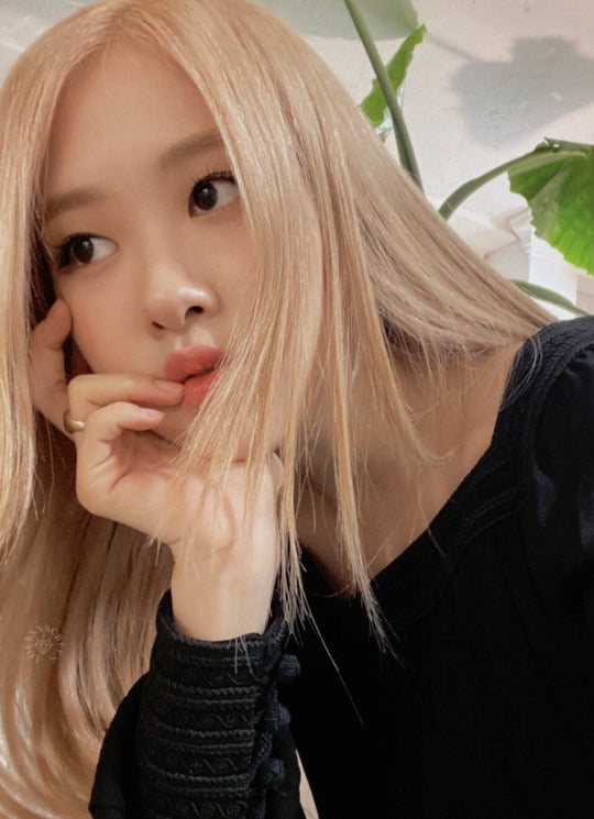 Rosé