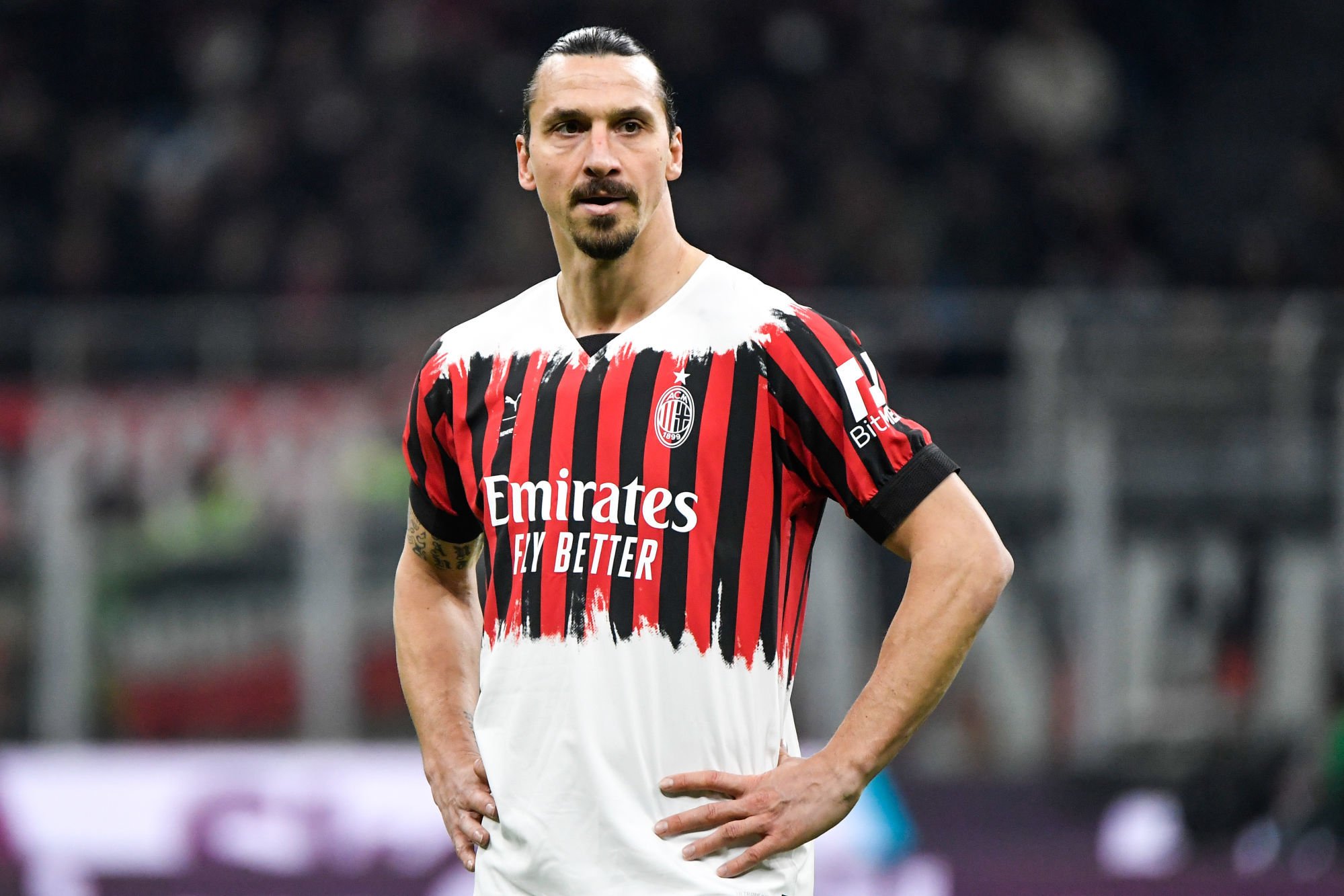 ខ្សែប្រយុទ្ធ&nbsp;Zlatan Ibrahimovic