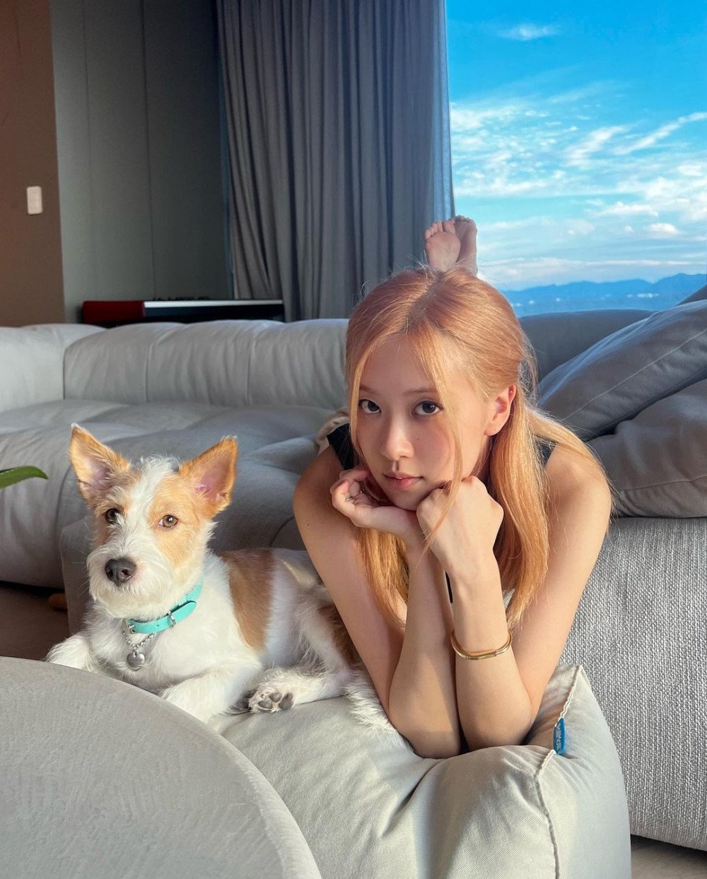 Rosé