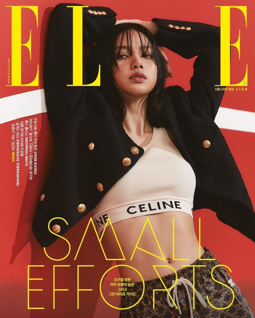 &nbsp;LISA
