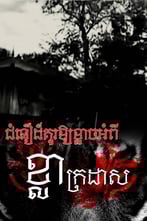 ជំនឿដ៏គួរឱ្យខ្លាចអំពីខ្លាក្រដាស