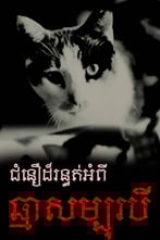 ជំនឿដ៏រន្ធត់អំពីឆ្មាសម្បុរបី