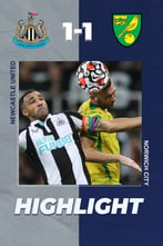 Newcastle 1-1 Norwich | EPL Highlight Week 14