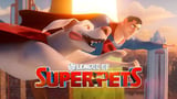 DC LEAGUE OF SUPER-PETS