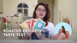 Unboxing and Eating Roasted Crickets for the First Time