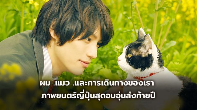 โซตะ ฟุคุชิ พาน้องแมวนานะ ออกเดินทางทั่วญี่ปุ่นเพื่อตามหาเจ้าของคนใหม่ ในภาพยนตร์ญี่ปุ่นสุดอบอุ่นส่งท้ายปี ผม .แมว .และการเดินทางของเรา