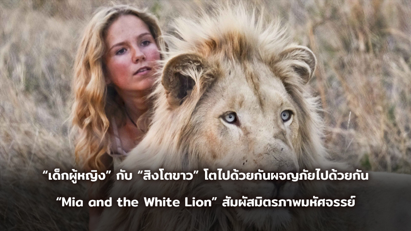 “เด็กผู้หญิง” กับ “สิงโตขาว” โตไปด้วยกันผจญภัยไปด้วยกัน “Mia and the White Lion” สัมผัสมิตรภาพมหัศจรรย์