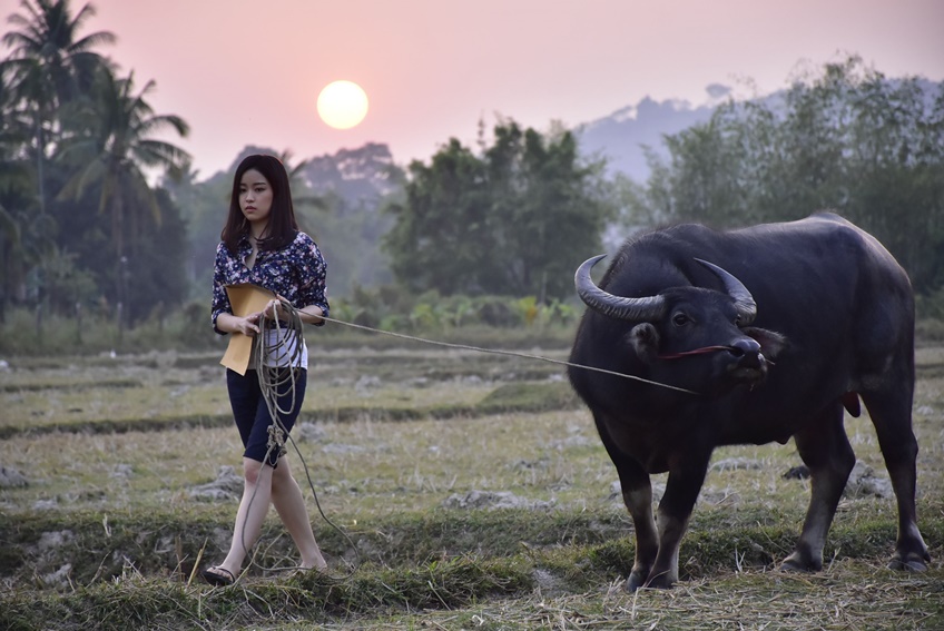 สาวน้อยร้อยล้านวิว