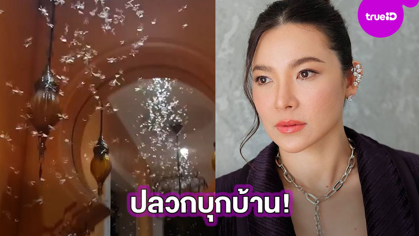 หมดก นบ านหล งงาม ต นหอม ศก นตลา เผยภาพปลวกบ กบ าน เข าแทบทร ด ม คล ป