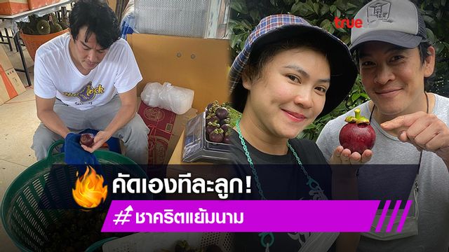 คัดเองกับมือ! ชาคริต นั่งเช็ดลูกมังคุด จากไร่เขยจันท์ ทีละลูก ก่อนนำส่งขาย