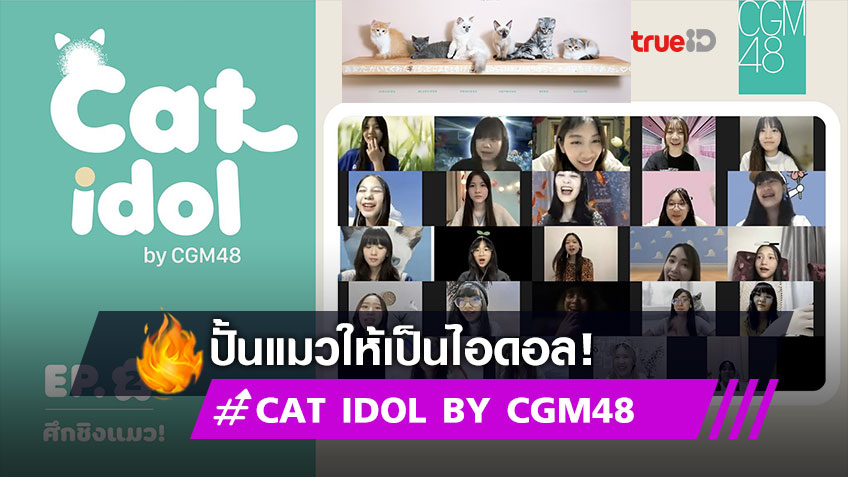 รินะ นำทีมปั้นแมวให้เป็นไอดอล โครงการ CAT IDOL by CGM48 ให้ 25 สมาชิกเป็น Promoter (มีคลิป)