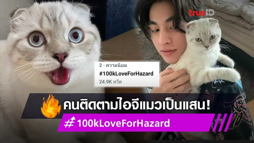 แฟน ๆ ดันแฮชแท็ก #100kLoveForHazard ฉลองน้องอาซาร์ แมวของ กลัฟ คณาวุฒิ ยอดติดตามไอจีทะลุแสน!