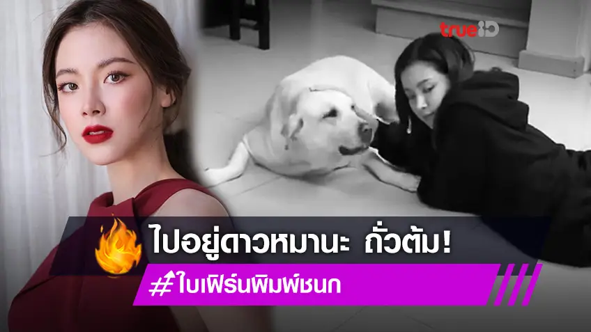 ไปอยู่ดาวหมานะ! ใบเฟิร์น พิมพ์ชนก โพสต์คลิปในความทรงจำ หลังสูญเสียน้องหมา ถั่วต้ม (มีคลิป)