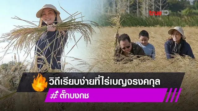 "ตั๊ก บงกช" กับชีวิตเรียบง่ายเคียงข้างครอบครัว ลุยเกี่ยวข้าวกลางไร่ที่สระบุรี