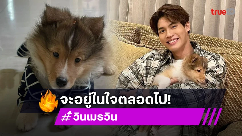 กำลังใจแน่น “วิน เมธวิน” อำลา “น้องเบนท์ลีย์” เดินทางกลับดาวหมาอย่างสงบ