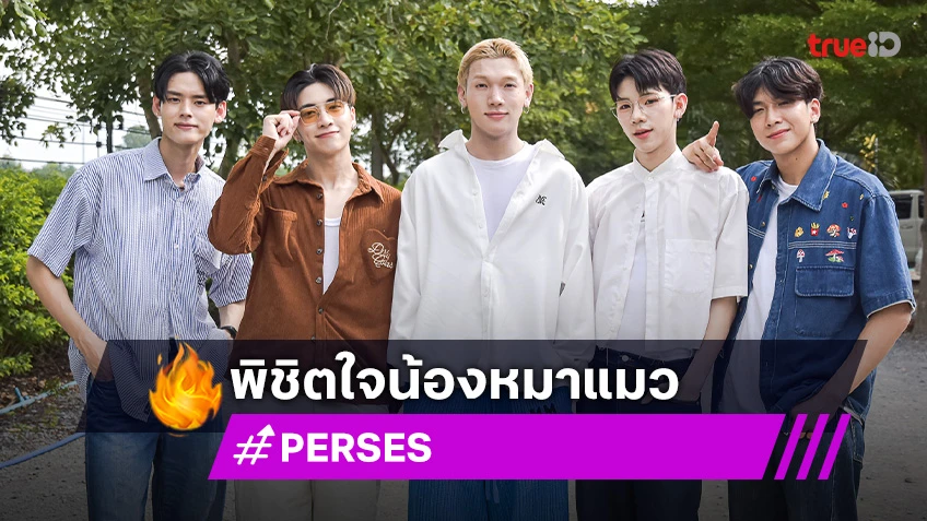 สุดน่ารัก! หนุ่มๆ วง PERSES ร่วมทำความดีกับภารกิจพิชิตใจน้องหมาแมว