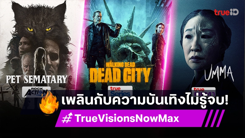 เพลิดเพลินกับความบันเทิงไม่รู้จบ TrueVisions Now Max คัดสรรคอนเทนต์คุณภาพ