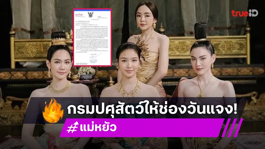 อธิบดีกรมปศุสัตว์แถลง ขอให้ช่องวัน เข้าให้ถ้อยคำกรณีดราม่าแมวในละคร “แม่หยัว”