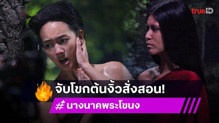 นางนาคพระโขนง EP.25 : "ยิหวา" เดือดจัด จับ "แก๊ป" โขกต้นงิ้วสั่งสอน