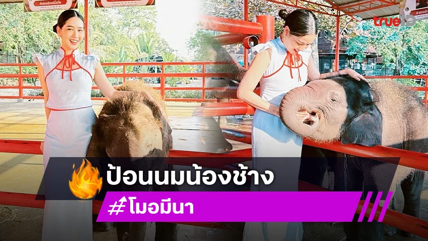 ดาราดังป้อนนมน้อง “ช้างพลายโสภณ  พังโสภิต” ที่อยุธยา