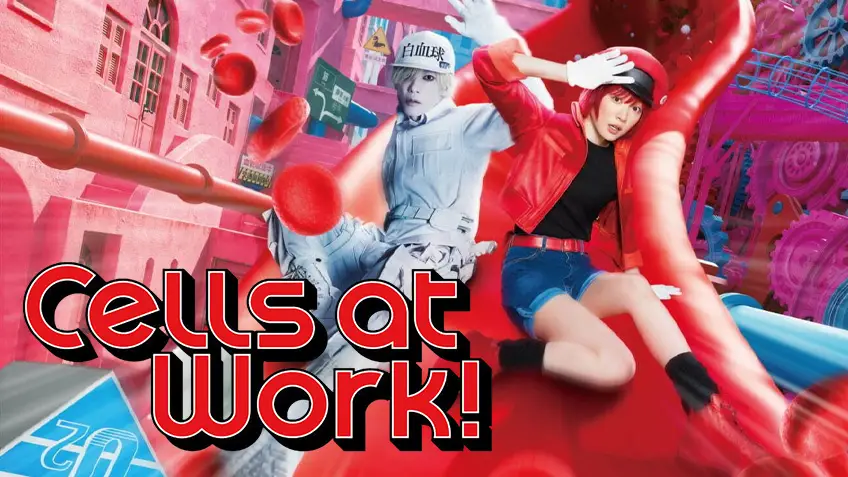 Cells at Work เซลล์ขยันพันธุ์เดือด