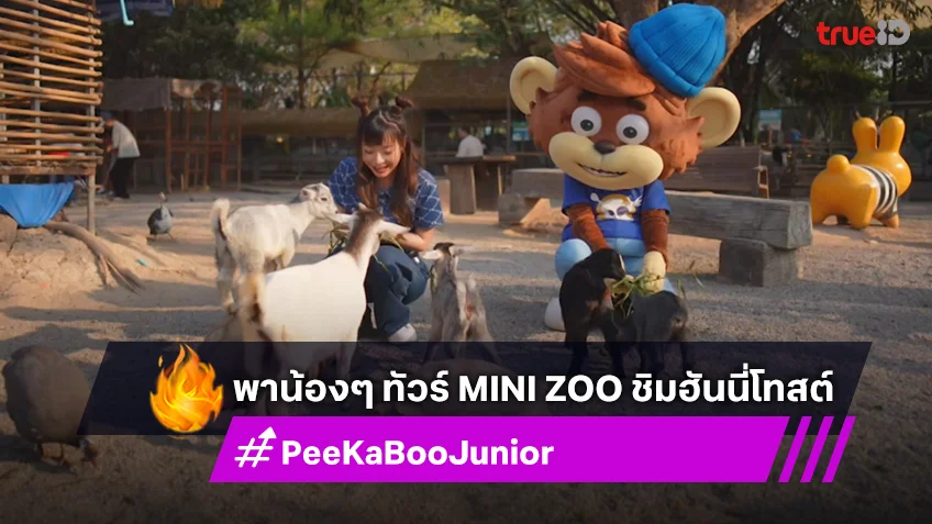 "PeeKaBoo Junior จ๊ะเอ๋! เด็ด เด็ด" พาน้องๆ ทัวร์ Mini Zoo ชิมฮันนี่โทสต์