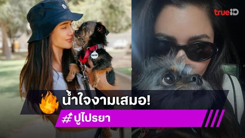 ซูเปอร์ฮีโร่ของฉัน! นางเอกรับเลี้ยงน้องหมาตาพิการจนแข็งแรงดี