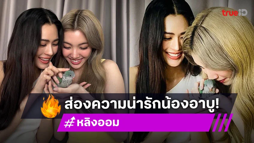 ทำความรู้จัก "น้องอาบู” นกแก้วแควกเกอร์ที่ "หลิงหลิง คอง" มอบให้ "ออม กรณ์นภัส" เป็นของขวัญวันเกิด