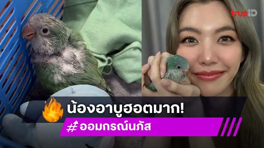 “น้องอาบู” ลูกของ “ออม กรณ์นภัส” ฮอตมาก ได้ของเล่นจากแฟนคลับเพียบ อยากได้อะไรอีกพร้อมเปย์!