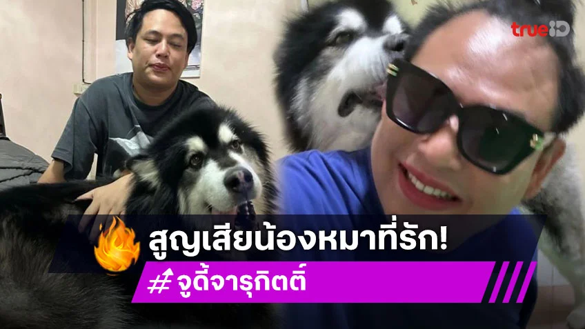 “จูดี้” สูญเสีย “น้องคริสตัล” สุนัขสุดที่รัก ขอโทษที่ไม่ได้อยู่ด้วยจนนาทีสุดท้ายของหนู