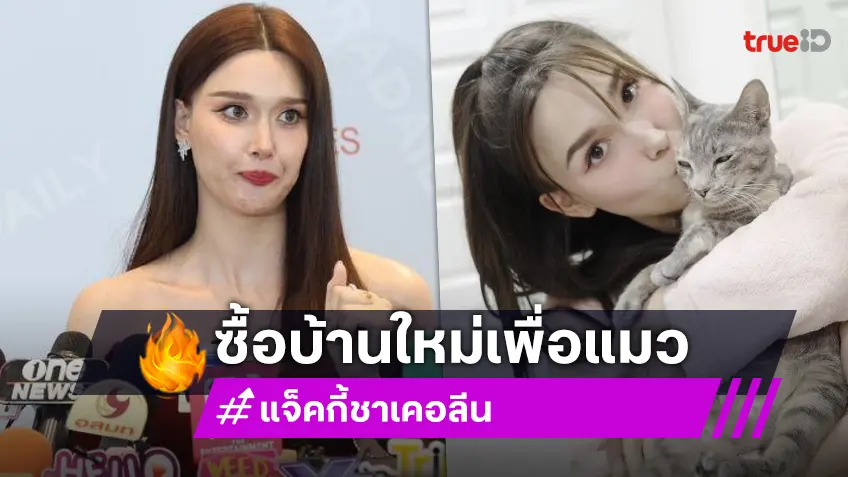 ทาสแมวถูกใจ! “แจ็คกี้” ทุ่มสุดตัวซื้อบ้านเพื่อแมว รับปรึกษา “เกรท วรินทร”