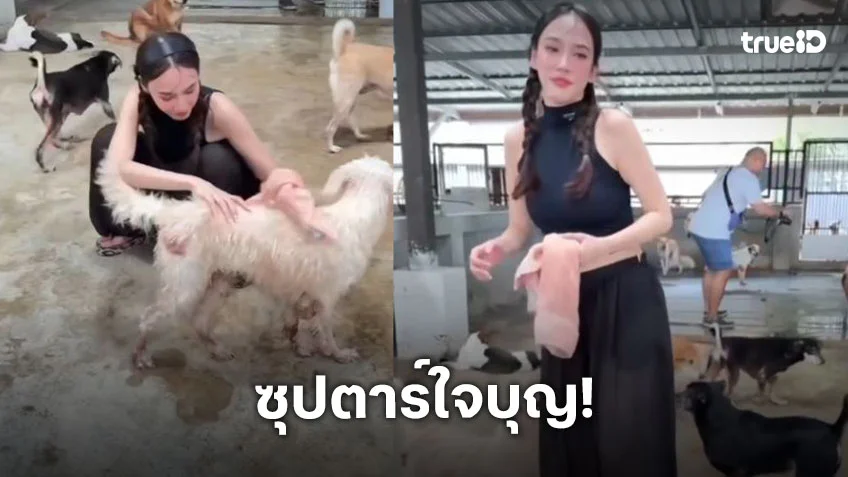 นางฟ้าบนดิน! “อั้ม พัชราภา” อาบน้ำดูแลสุนัขจรจัด กว่า 130 ตัว “เอ ศุภชัย” ลงคลิปสุดอบอุ่น นางฟ้าบนดิน! “อั้ม พัชราภา” อาบน้ำดูแลสุนัขจรจัด กว่า 130 ตัว “เอ ศุภชัย” ลงคลิปสุดอบอุ่น