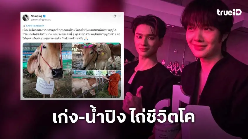 เติมบุญกันต่อ “เก่ง-น้ำปิง” ไถ่ชีวิตน้องโคติดโบว์ เพื่อขอบคุณแฟนคลับที่ช่วยโหวต น้อมอนุโมทนาสาธุ