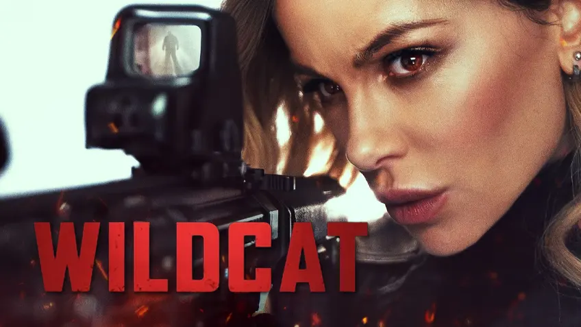 Wildcat สวยต้องปล้น