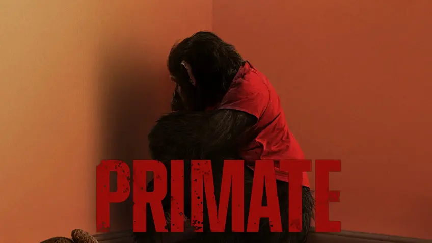 Primate ลิงคลั่งพันธุ์ดิบ