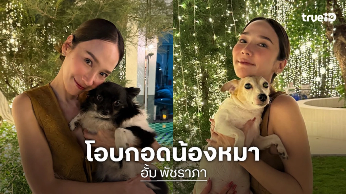 “อั้ม พัชราภา” โพสต์เรื่องจุดพลุวันปีใหม่ให้ทุกคนโอบกอดสุนัขทุกตัวด้วย
