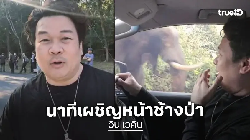 นักร้องหนุ่ม "วิน เวคิน" เผชิญหน้าช้างป่าร้องลั่นรถ-สติหลุด ขับรถเกือบตกเขาใหญ่