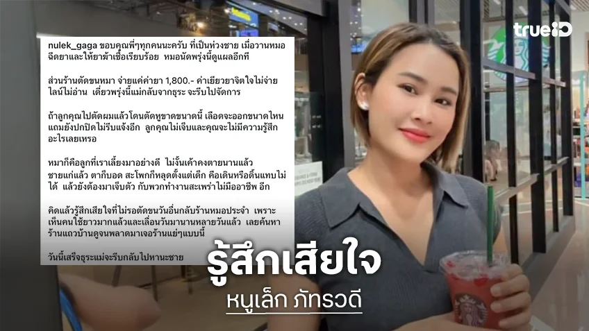 “หนูเล็ก” เดือด! ร้านตัดขน ตัดหูหมาขาด แต่ไม่ยอมแจ้งตอนเกิดเหตุ ปกปิดอาการ