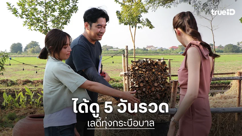 แจ้งให้ทราบ! “เลดี้ทุ่งกระบือบาล” ได้ดู 5 วันรวด