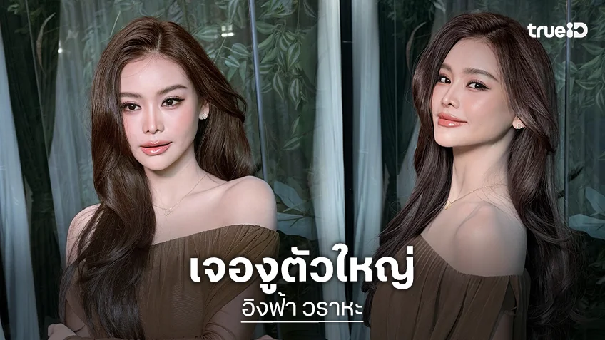 ใจหายใจคว่ำ “อิงฟ้า วราหะ” พบน้องงูเห่าตัวไม่ใหญ่หน้าบ้าน ร้องห๊ะ!! หลังผู้จัดการเล่าเคยเจอ 2 ตัว อีกตัวใหญ่กว่านี้!?