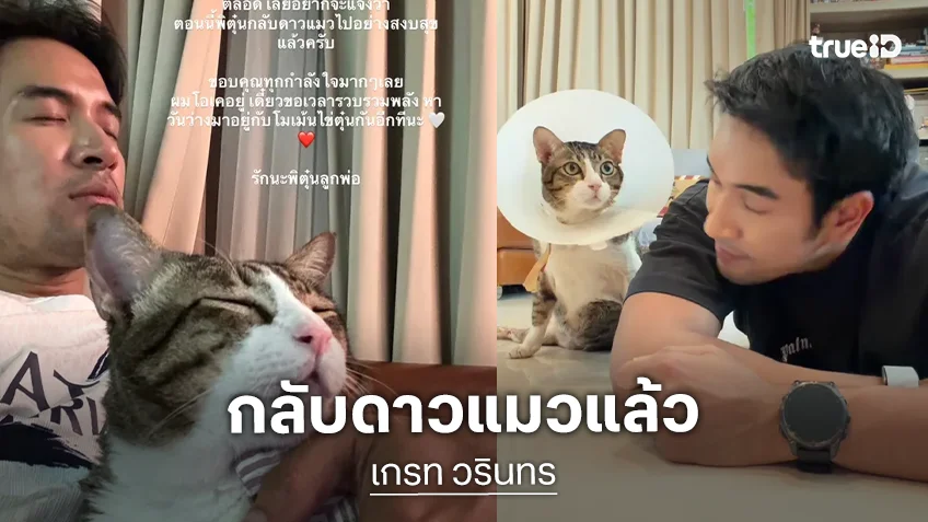 แฟนให้ส่งกำลังใจ "เกรท วรินทร" แจ้งข่าวเศร้าแมวสุดที่รักกลับดาว