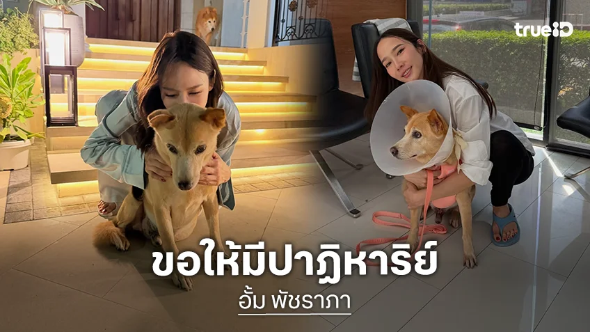 “อั้ม พัชราภา” แจ้งข่าวร้าย “น้องถั่ว” สุนัขตัวโปรดเป็นมะเร็ง
